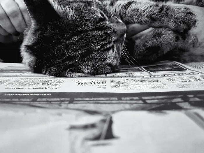 Lazy Saturday Morning.