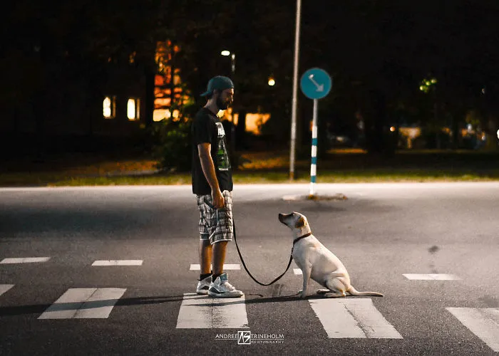 During Every Trip I Take A Picture Of My Husband And Our Labrador In The Same Position