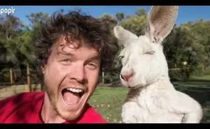 This Guy Calls Himself The Animal Whisperer And When You See These Selfies You’ll Understand Why