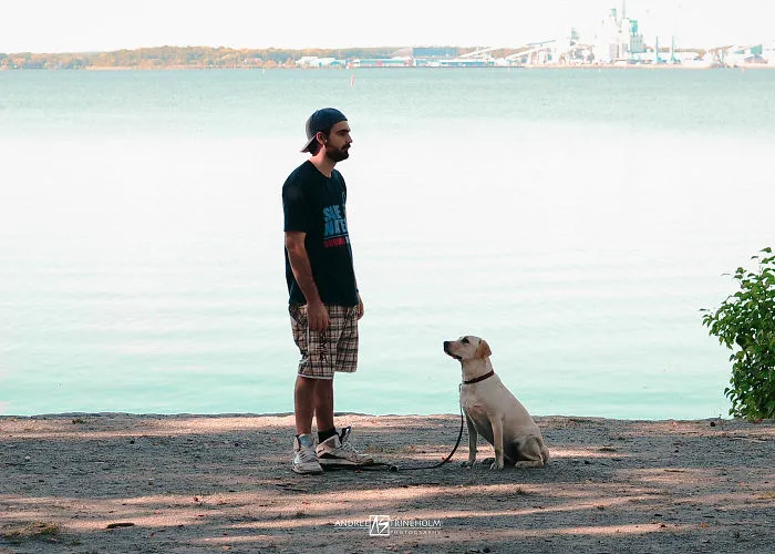 During Every Trip I Take A Picture Of My Husband And Our Labrador In The Same Position