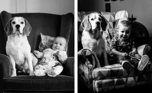 I've Taken A Picture Of My Son And Beagle Every Month For The Last Two Years In The Same Chair