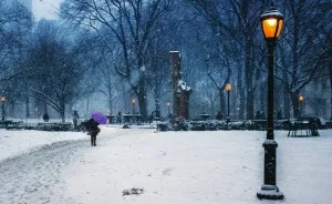 New York Winter Wonderland