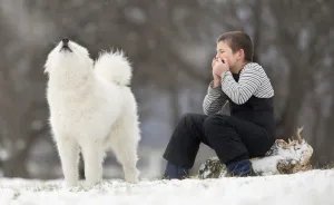 He Sat Alone In The Softly Falling Snow Until His Best Friend Heard Him