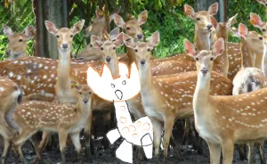 I Photoshop Kids' Drawings Into Real Life