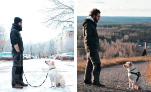 During Every Trip I Take A Picture Of My Husband And Our Labrador In The Same Position