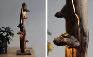 I Create Unique Lamps Out Of Real Mushrooms And Mountain Crystals