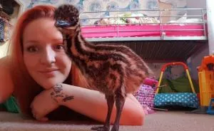 This Woman Bought An Egg On eBay For $30, Now She Has An Exotic Bird