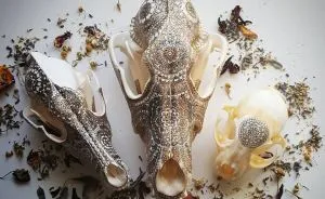 Passion In Her Bones: Artist Uses Skulls As Therapeutic Canvases