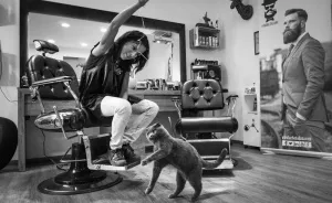 Cats At Work: I Captured Cats Living In People's Working Places