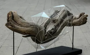 I Encapsulate Driftwoods With Little Floating Glass Architectures That Look Like Computerized Chrysalis