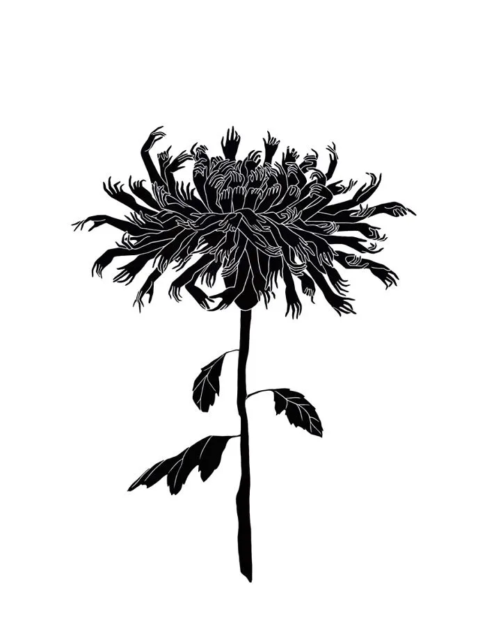 Surrealist Chrysanthemum