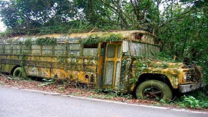 Watch 13terrifying Places That Show What Would Happen If Humans Suddenly Disappeared From The Planet
