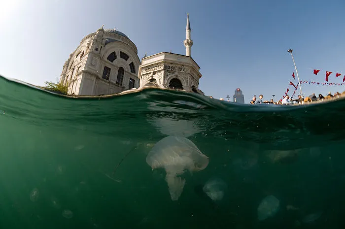 Dolmabahce Mousque
