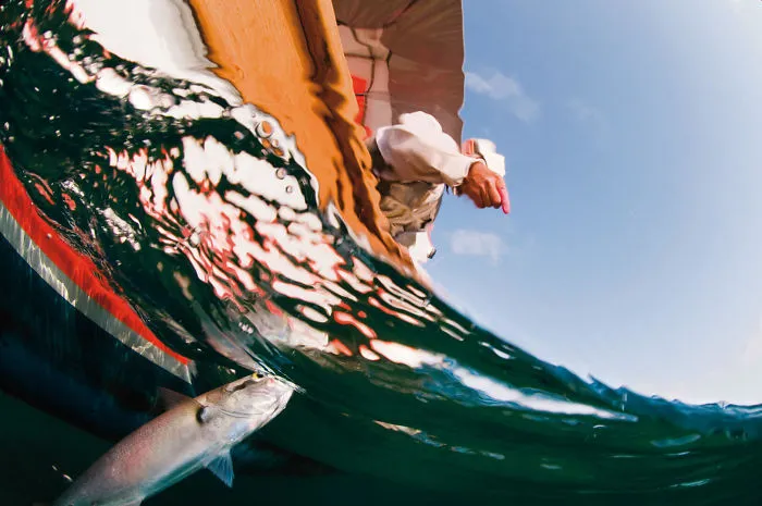 Fisherman & Bluefish