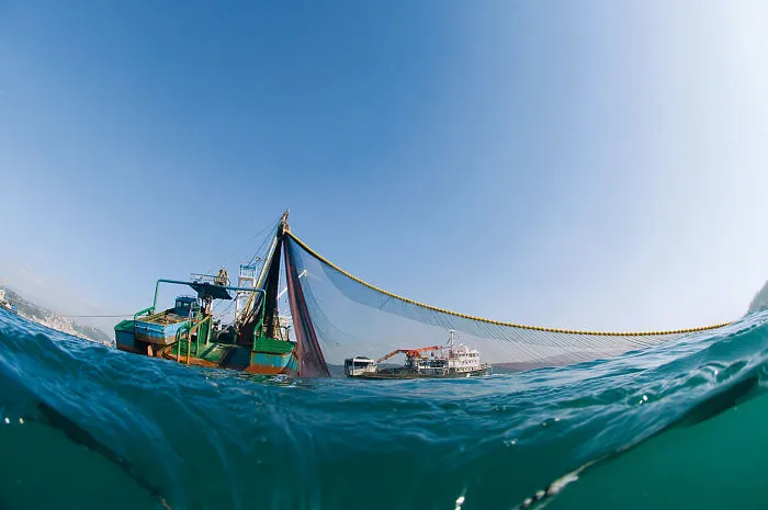 Fishing Boat