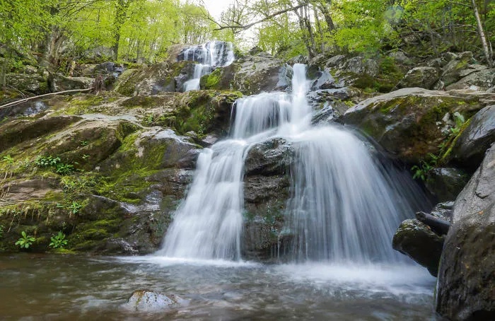 I Live Near Shenandoah National Park, These Are My 20 Favorite Photos