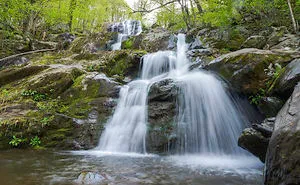 I Live Near Shenandoah National Park, These Are My 20 Favorite Photos