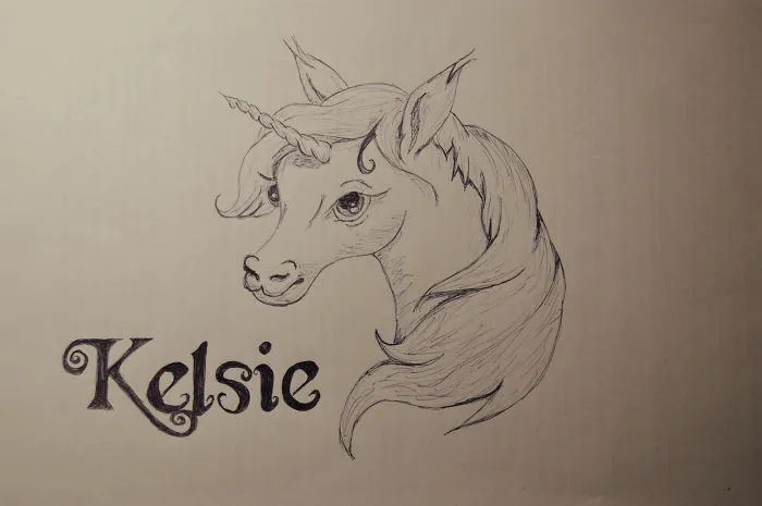 Hey Pandas, Our Reader Wants To Surprise Her Best Friend With A Unicorn, Let's Help Her
