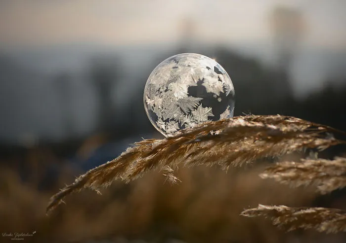 This Is What Happens To A Soap Bubble In Winter