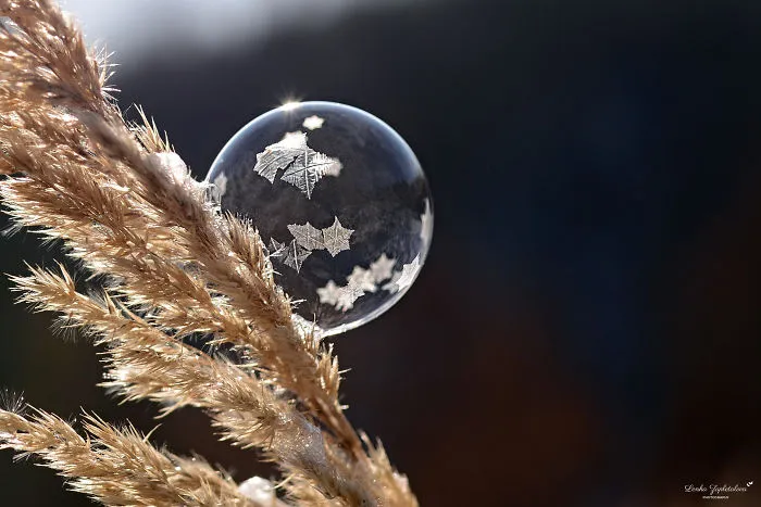 This Is What Happens To A Soap Bubble In Winter