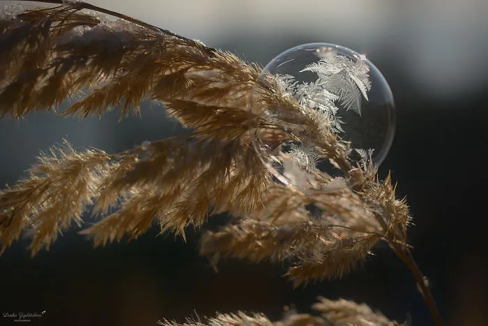 This Is What Happens To A Soap Bubble In Winter
