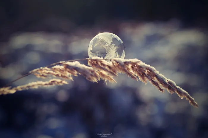 This Is What Happens To A Soap Bubble In Winter
