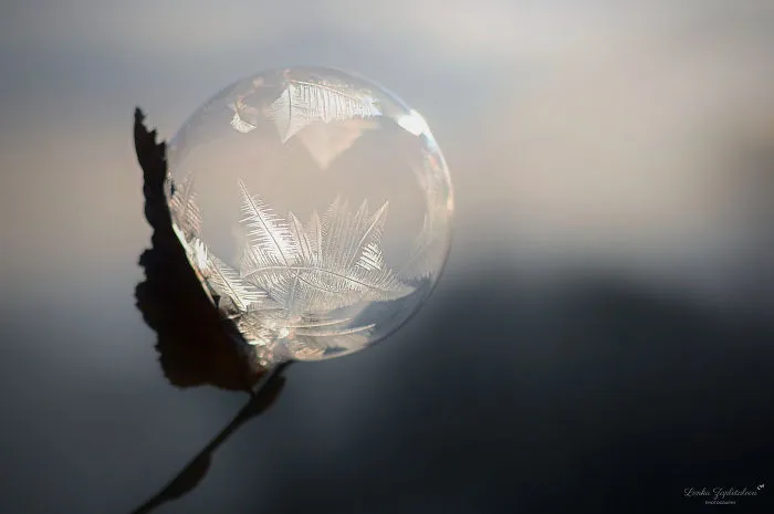 This Is What Happens To A Soap Bubble In Winter
