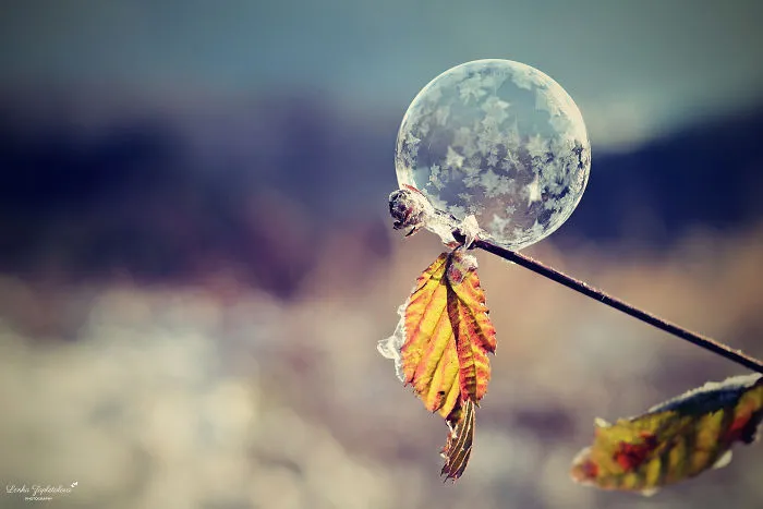 This Is What Happens To A Soap Bubble In Winter