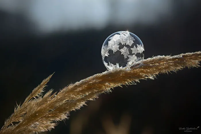 This Is What Happens To A Soap Bubble In Winter