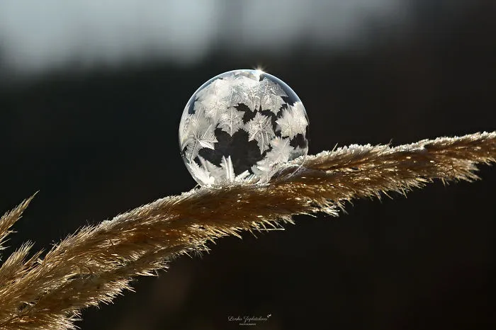 This Is What Happens To A Soap Bubble In Winter