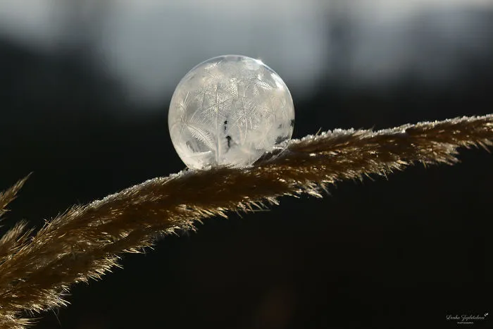 This Is What Happens To A Soap Bubble In Winter
