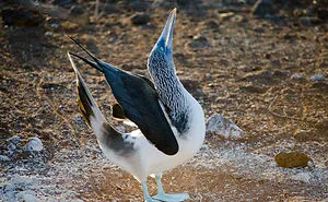 I Took A Bucket List Trip To The Galapagos, And Here Are My Photos!
