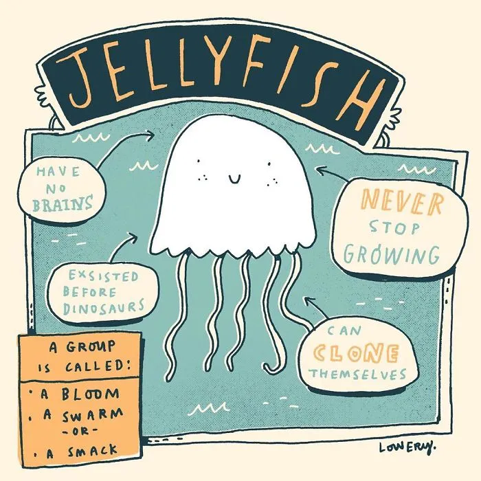 Every Morning I Illustrate Random Fun Facts