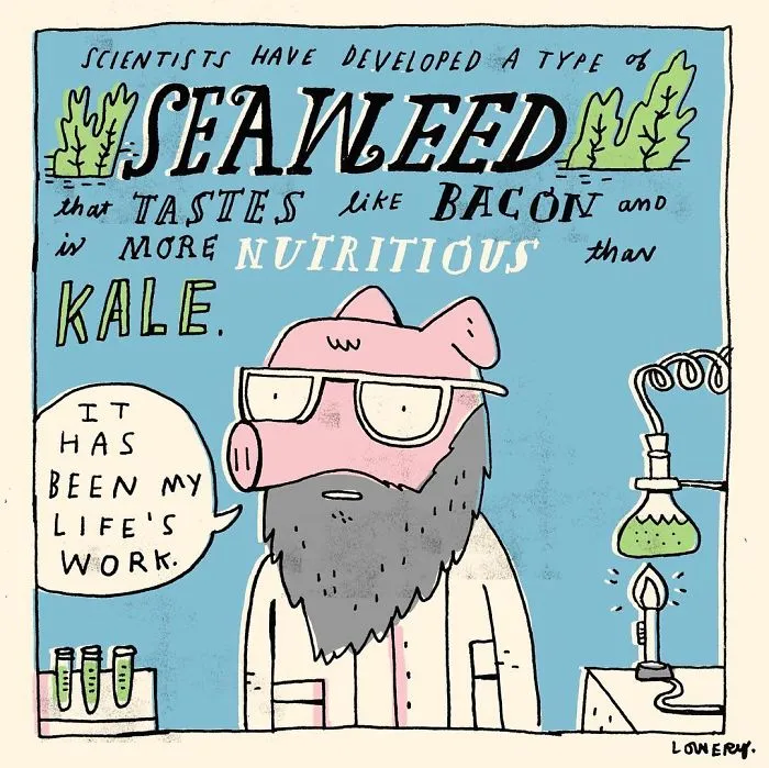 Every Morning I Illustrate Random Fun Facts