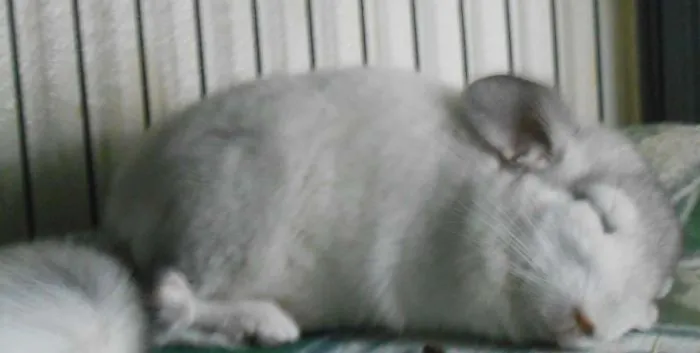 Sleepy Little Boo