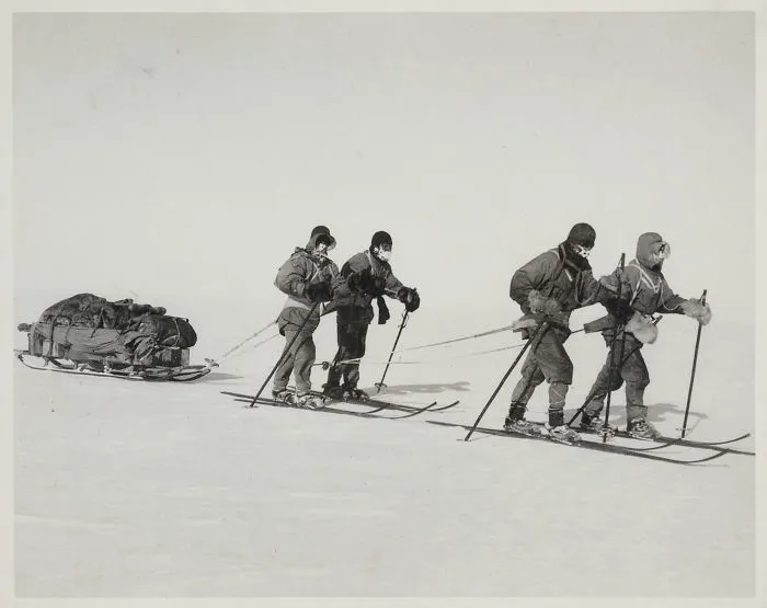 The Polar Party On The Trail