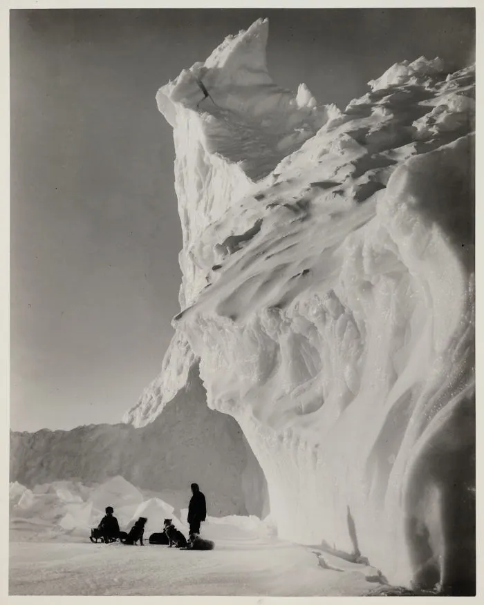 Dog Team Resting By An Iceberg