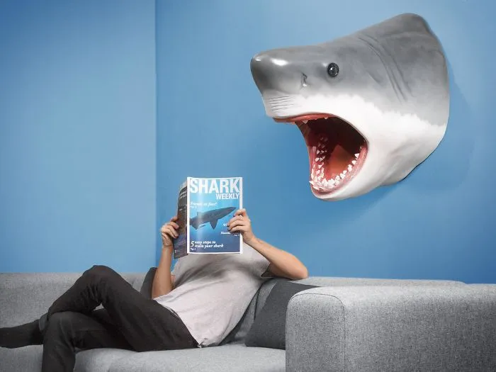 Humorous Home Décor That Puts A Smile On Your Face