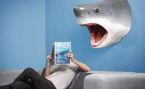 Humorous Home Décor That Puts A Smile On Your Face