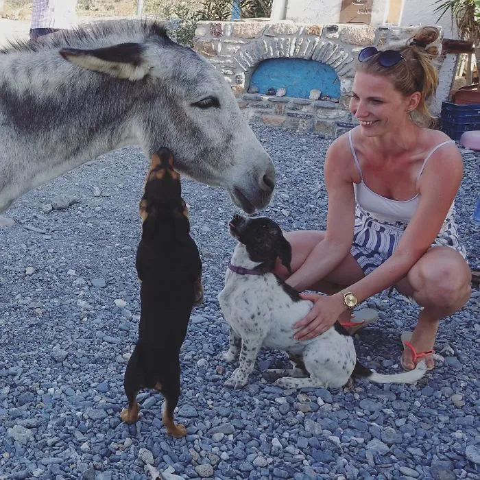 I Help All Creatures Great And Small