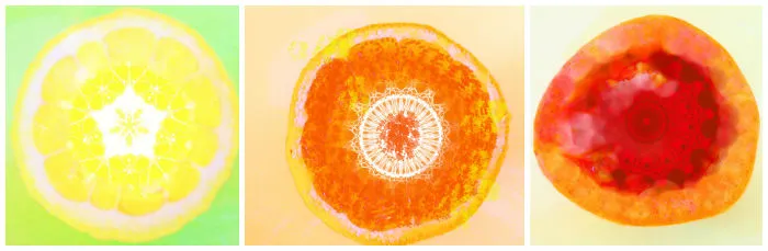 I See Mandalas In Open Sliced Fruits