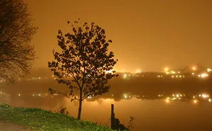 Night Walk Ended With Good Picture