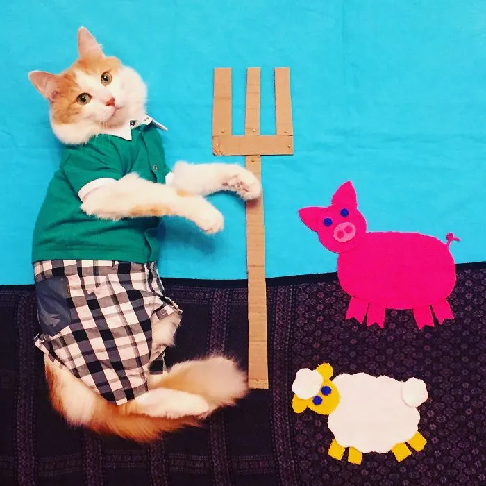 Meet Kuzya, A True Cat Adventurer From Russia