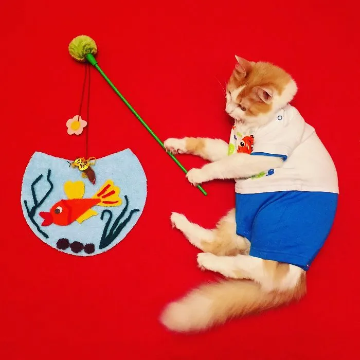 Meet Kuzya, A True Cat Adventurer From Russia