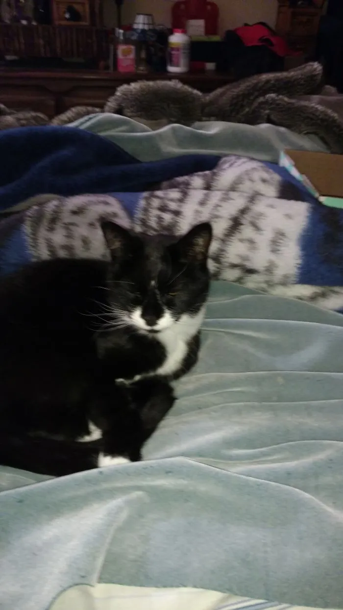 My Maximus