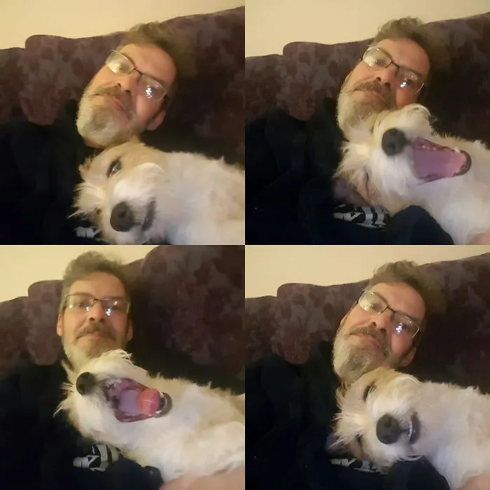 Jokes For Small Dogs