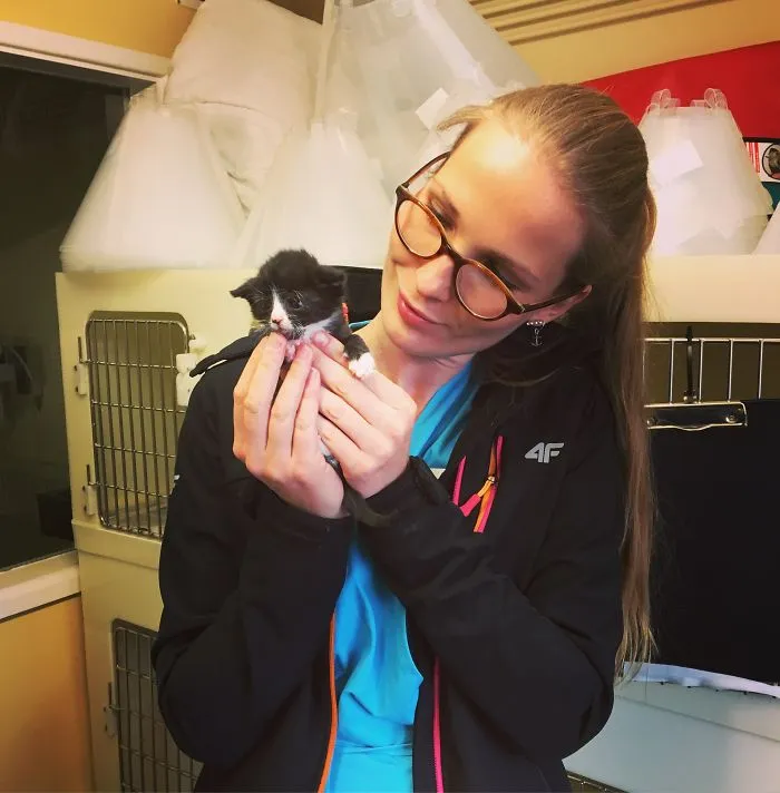 I Help All Creatures Great And Small