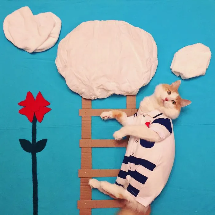 Meet Kuzya, A True Cat Adventurer From Russia