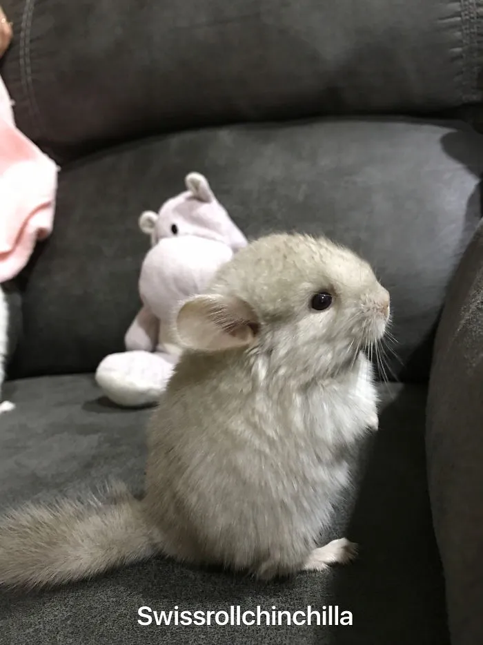 I Would Like To Sit Here Too!