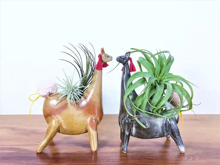 I Express My Connection With Nature By Creating Ceramic Animal Vases